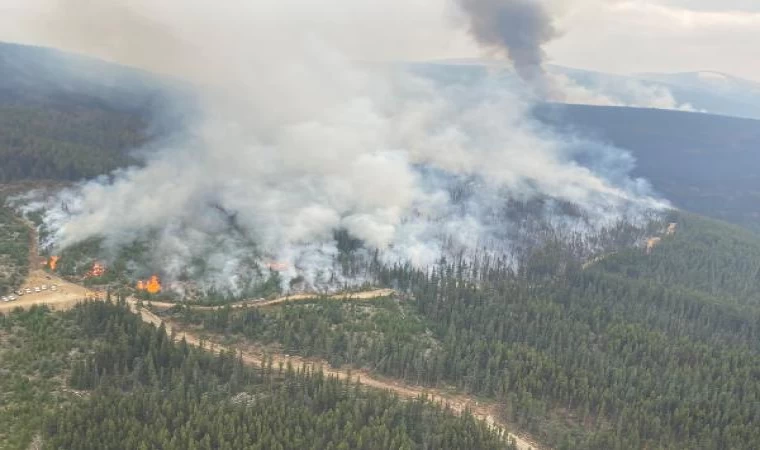 Kanada’nın Batı Kelowna bölgesinde 50 yapı yangında yıkıldı