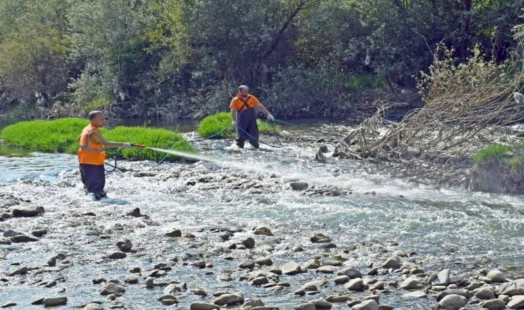 Karabükte artan sivrisineklere karşı ilaçlama yapılıyor