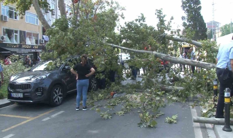 Kartalda ağaç devrildi, aracın camı patladı