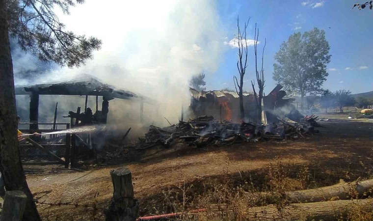 Kastamonuda çıkan yangında ahır, samanlık ve bin 500 balya saman kül oldu