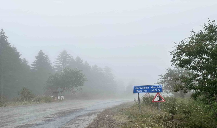 Kastamonunun yüksek kesimlerinde sis ve sağanak etkili oldu