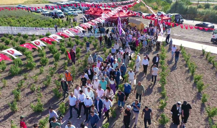 Keçiörende Lavanta ve Gül Bahçesinde hasat yapıldı