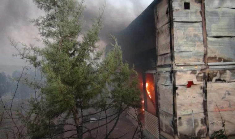 Kilis’te çıkan orman yangını söndürüldü