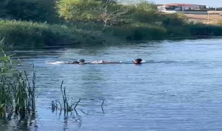 Kızılırmak Nehri’ne giren Ebubekir, boğuldu