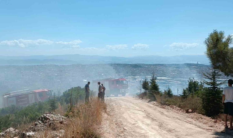 Kocaelide ağaçlık alanda çıkan yangında kundaklama iddiası