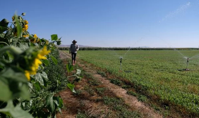 Konya Ovası’nda suya ulaşmak için 450 metre sondaj yapılıyor