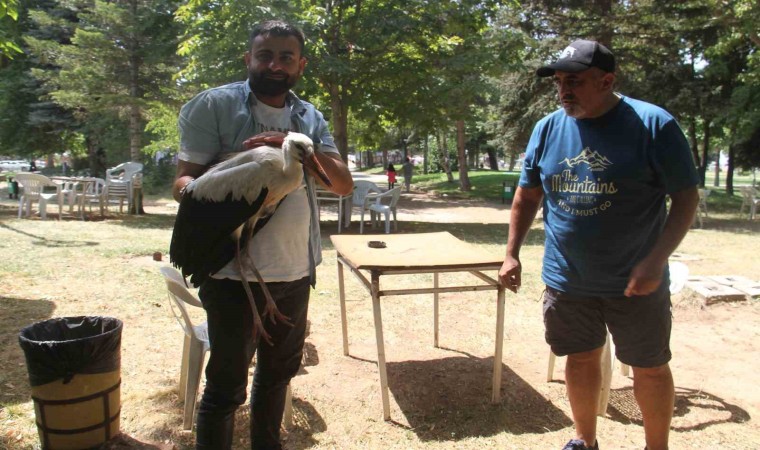 Konyada insanlardan kaçmadan gezinen yavru leylek parkın maskotu oldu