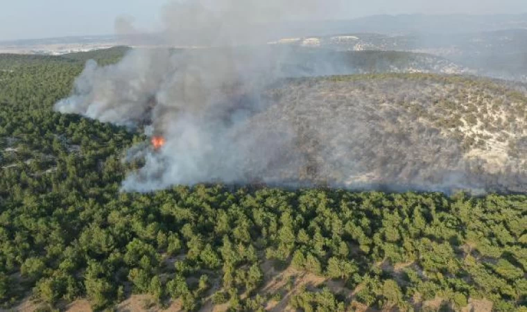 Kütahya’da orman yangını (2)