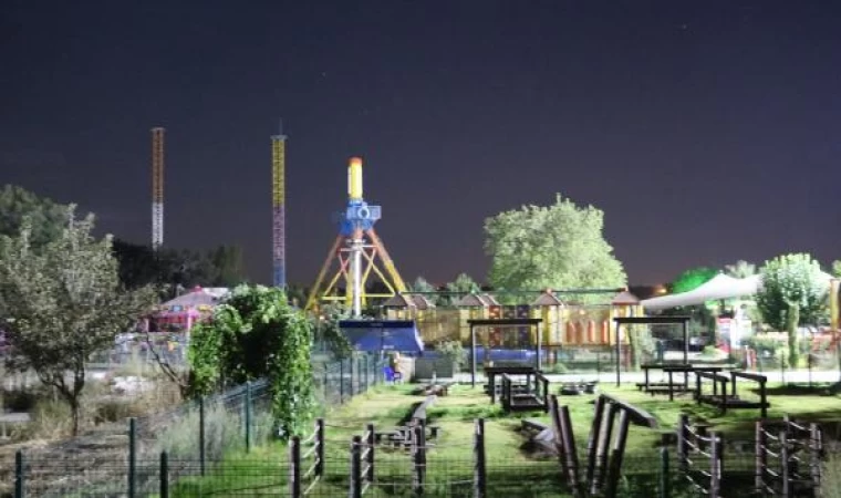 Lunaparkta ağaç dallarına çarpan salıncaktaki 6 kişi yaralandı