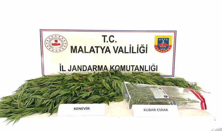 Malatyada Jandarmadan uyuşturucu operasyonu