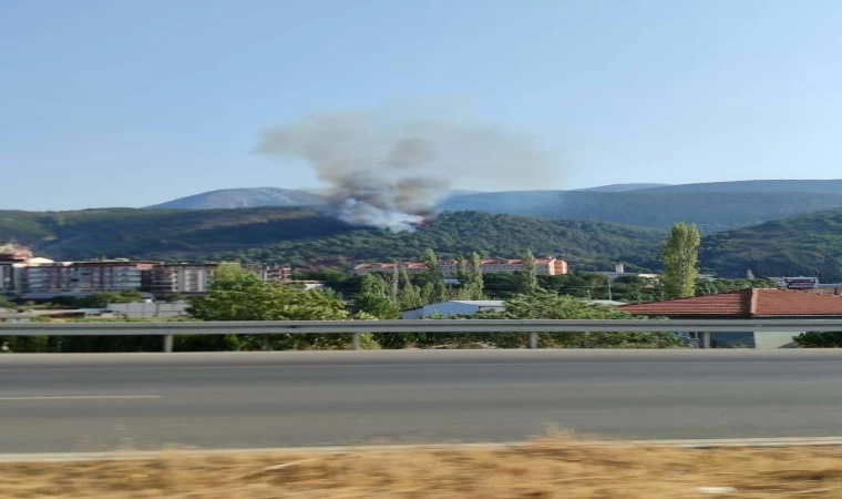 Manisa’da orman yangını