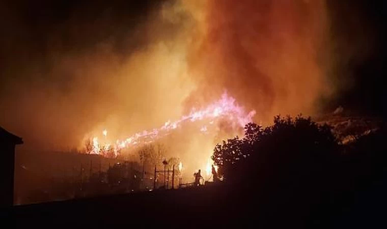 Marmara Adası’nda maki yangını (3)