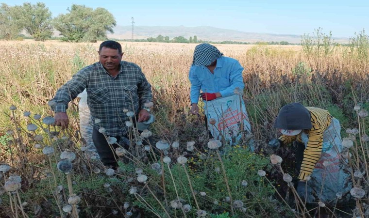 Memleketten uzakta 460 TL yevmiye ile çalışıyorlar