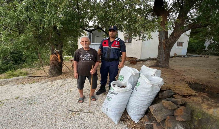 Mersinde keçiboynuzu hırsızları jandarma ekiplerince yakalandı