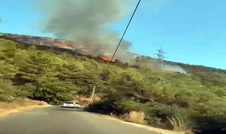 Mersin’de orman yangını