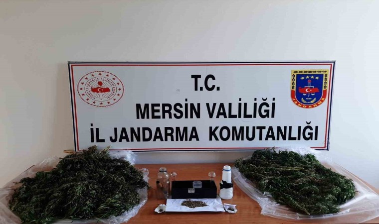 Mersinde uyuşturucu operasyonu: 2 gözaltı