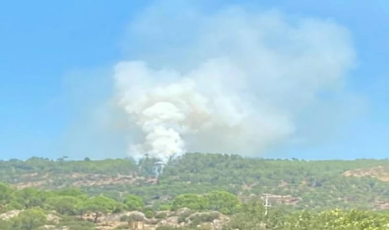 Muğla’da 1 hektar orman yandı