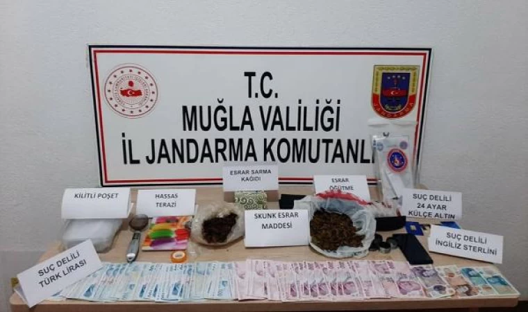 Muğla’nın 7 ilçesinde uyuşturucu operasyonu: 31 gözaltı