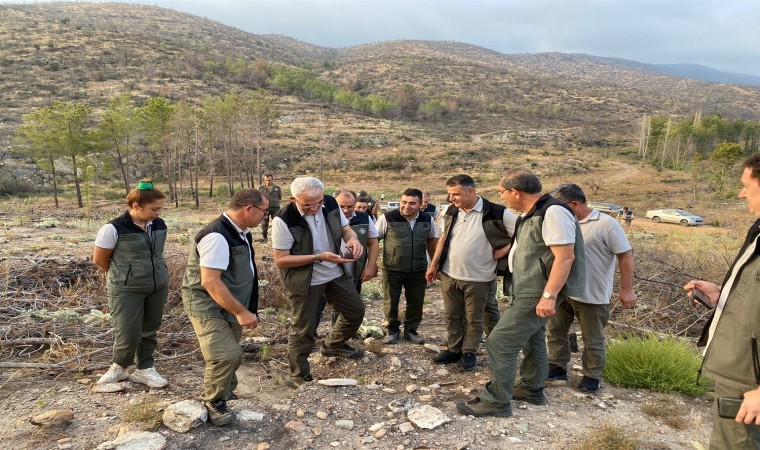 Orman Genel Müdürü Karacabey: Ciğerlerimiz yanmasın diye lütfen azami dikkat edelim