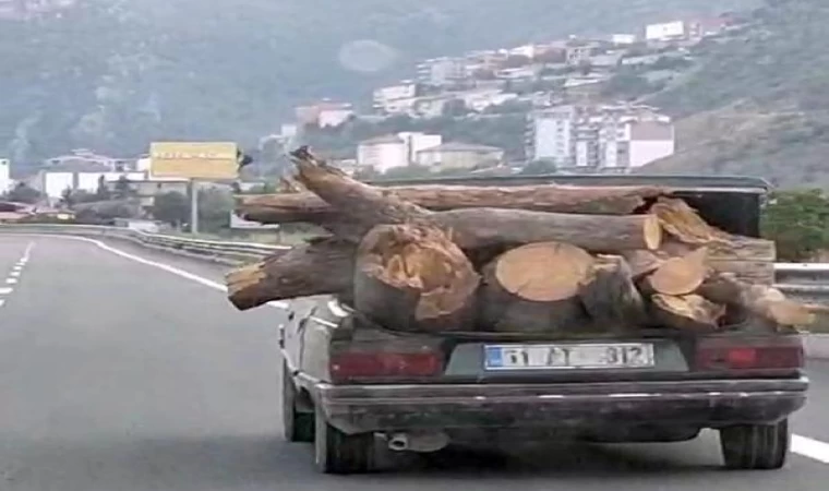 Otomobille tehlikeli odun taşıma