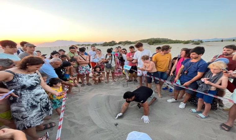 Patara’da deniz kaplumbağası yuva sayısında rekor