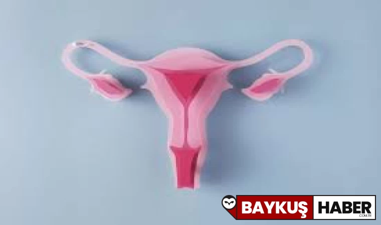 Pembe Akıntının Nedenleri ve Olası Sonuçları