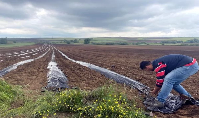 Poşetleme sistemi ile kuraklığı yendi; 10 ton karpuz elde etti