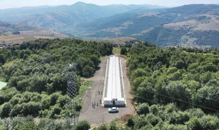 Proteonun yasaklı misafirleri