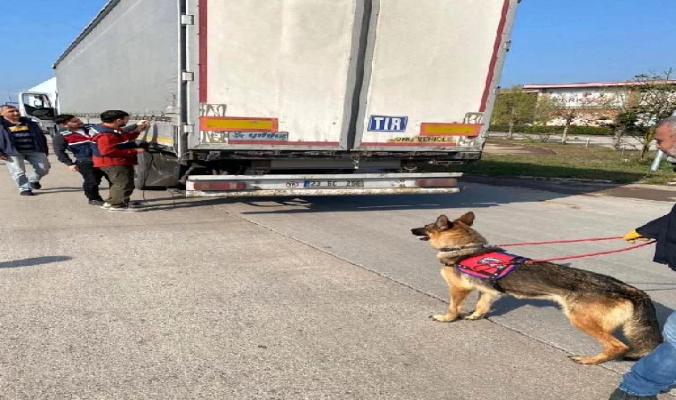 Sakarya ve Hatay’da 39 göçmen kaçakçılığı organizatörü yakalandı