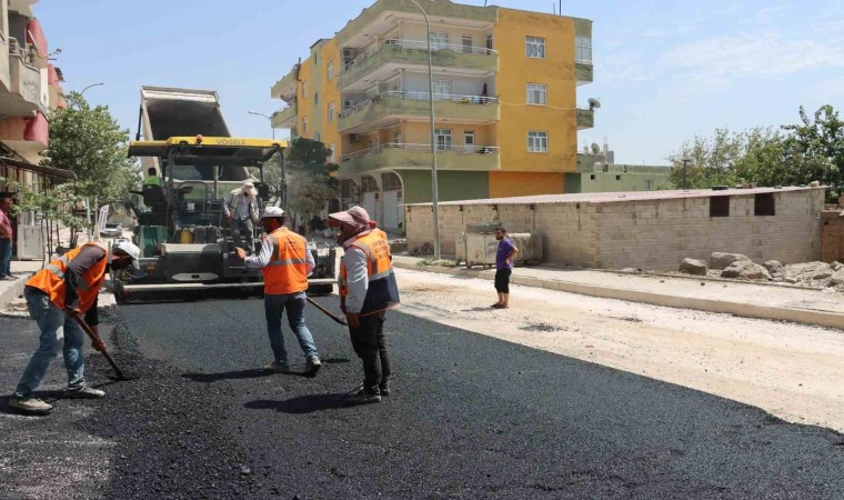 Şanlıurfa Büyükşehirden Viranşehirde asfalt atağı