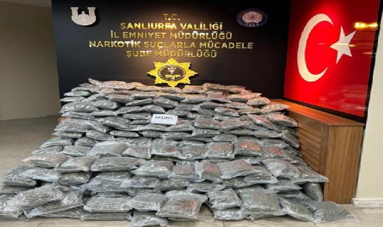 Şanlıurfa’da, 177 kilo 800 gram skunk ele geçirildi