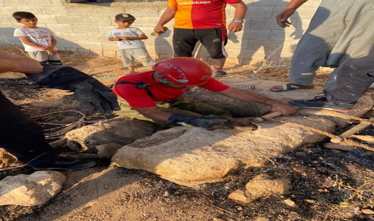 Şanlıurfada itfaiye ekipleri kuyuya düşen kedi için seferber oldu