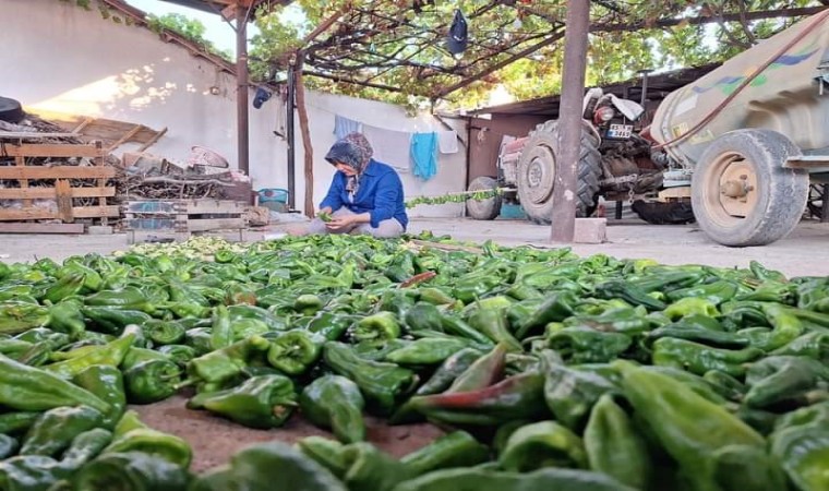 Sarıgölde kışlık yiyecek hazırlığına başlandı