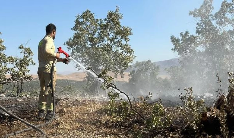 Siirt’te orman yangını, 17 saatte kontrol altına alındı