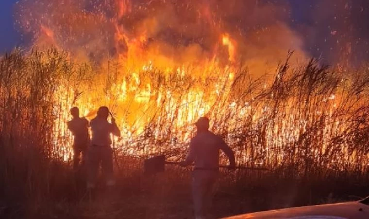 Siirt’te sazlıkta çıkan yangın, tarım arazilerine sıçramadan söndürüldü