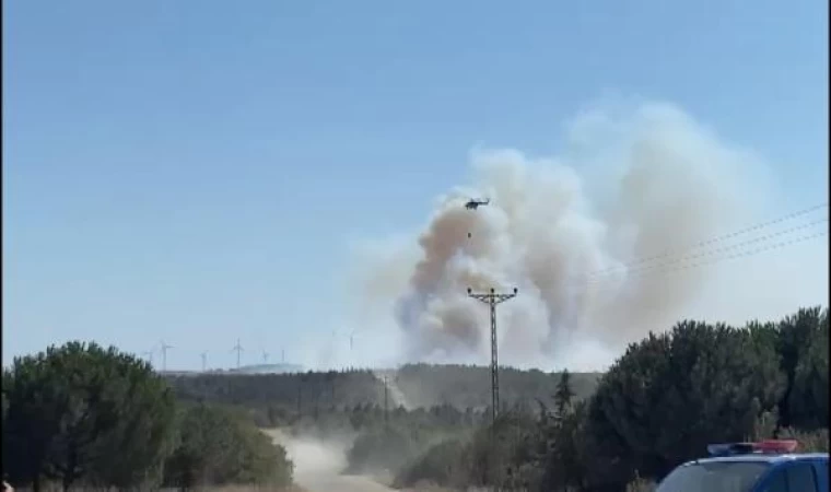 Silivri’de orman yangını-1