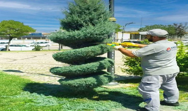 Sincanda parklardaki ağaçlar görüntüleriyle görenleri kendine hayran bırakıyor