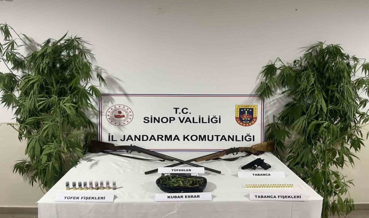 Sinopta jandarmadan uyuşturucu operasyonu: 1 gözaltı