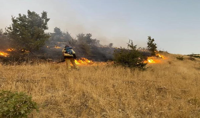 Şırnak’ta çıkan örtü yangını kontrol altına alındı 