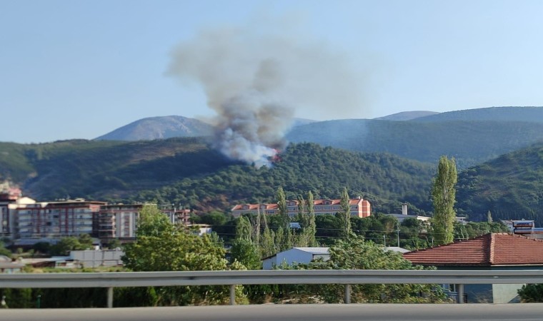 Somadaki orman yangınına müdahale devam ediyor