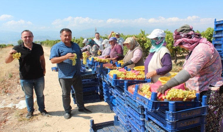 Sultani üzümde ilk ihracat tırları yola çıktı