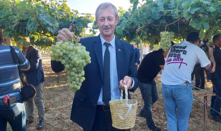 Tekirdağda bağ bozumu etkinliği: Binlerce çeşit üzüm hasat edildi