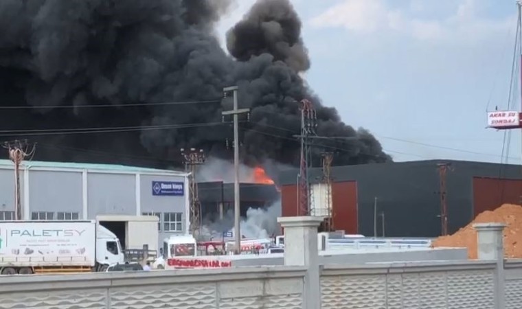 Tekirdağda bir fabrika alevlere teslim oldu