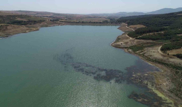 Tekirdağda korkutan görüntü: Barajdaki çalı ve ağaçlar ortaya çıktı