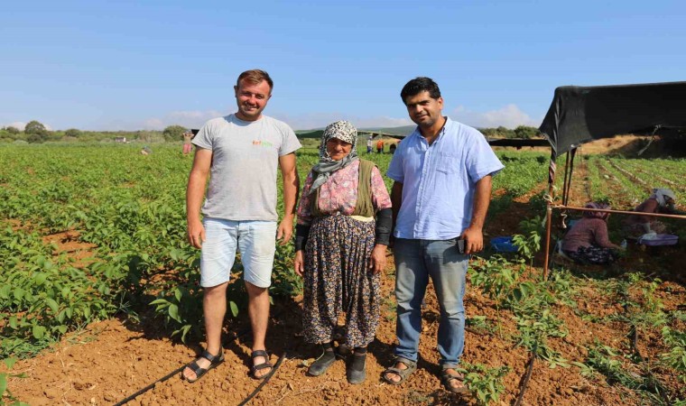 Türkiyenin ceviz fidanı ihtiyacı bu bölgeden karşılanıyor