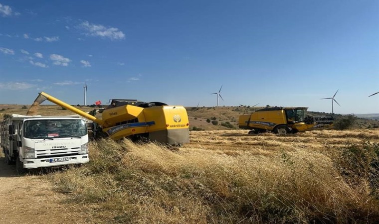 Uşakta tritikale üretiminden olumlu sonuç alındı