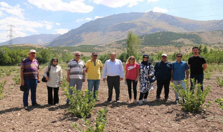 “Uzman Eller” projesinden hibe alan mühendis, aronya yetiştiriyor