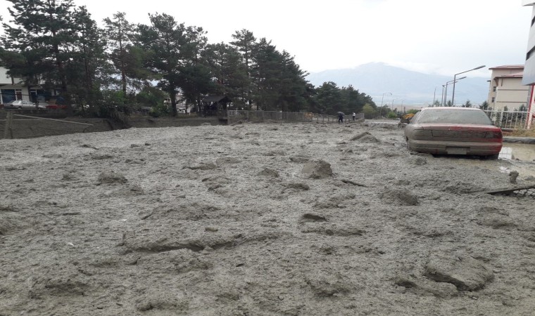 Üzümlüde sel zarara yol açtı