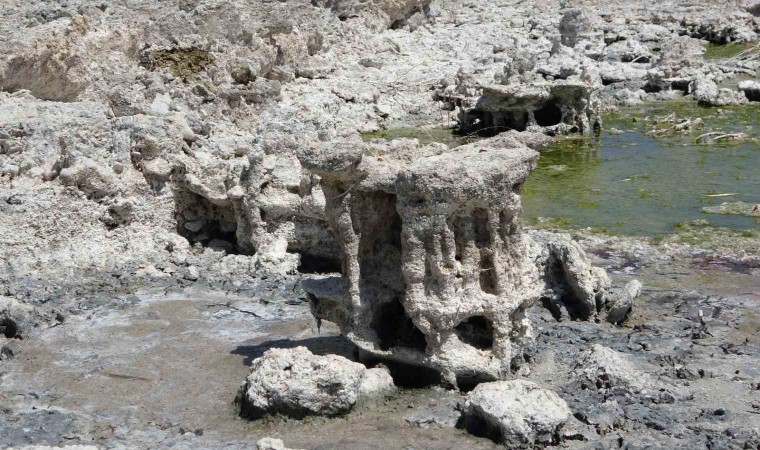 Van Gölünde sular çekilince yeni mikrobiyalitler ortaya çıktı