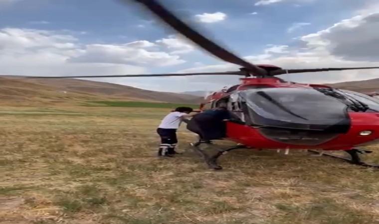 Vanda arı sokmasıyla rahatsızlanan kadın ambulans helikopterle hastaneye kaldırıldı